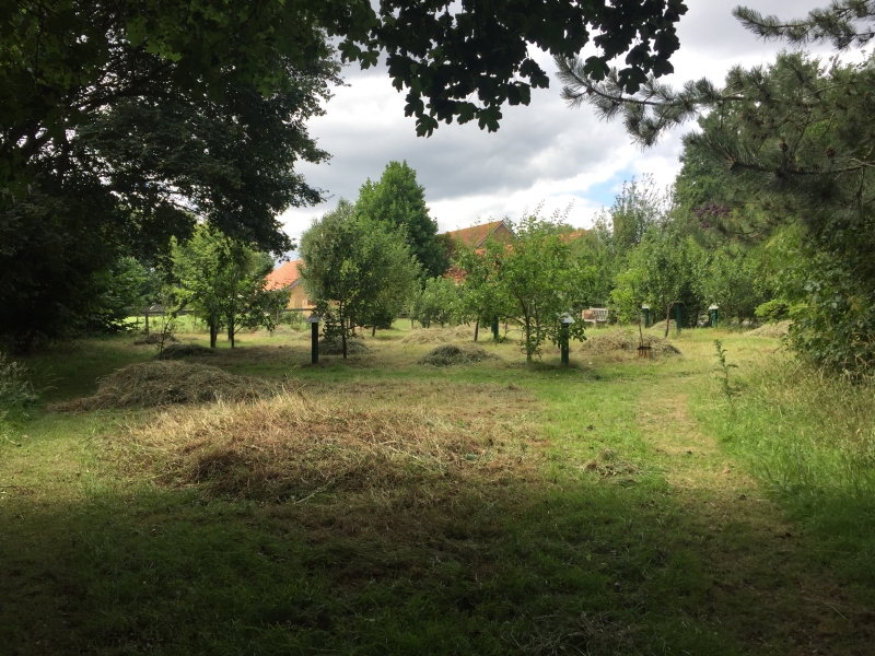 Wicor Primary School Community Garden